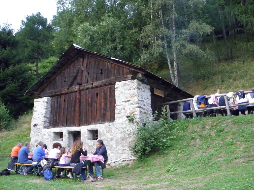 Chalet Alpenrose Bio Wellness Naturhotel Cogolo Exterior foto